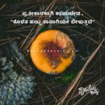 motivation quotes kannada
