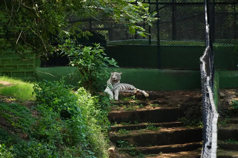 bannerghatta national park bangalore