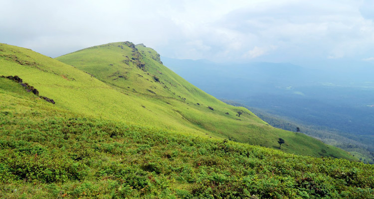 kemmangundi-chikmagalur-tourism